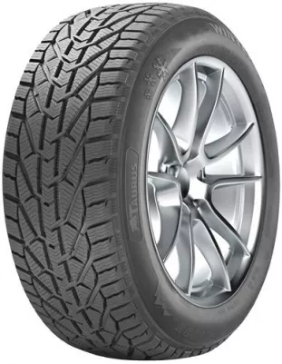 Taurus 205/55  R16  WINTER  [91] T  FR